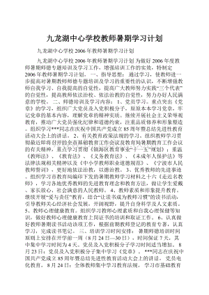 九龙湖中心学校教师暑期学习计划.docx