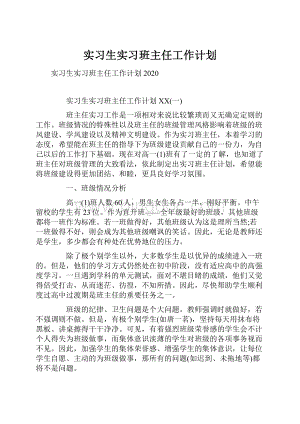 实习生实习班主任工作计划.docx