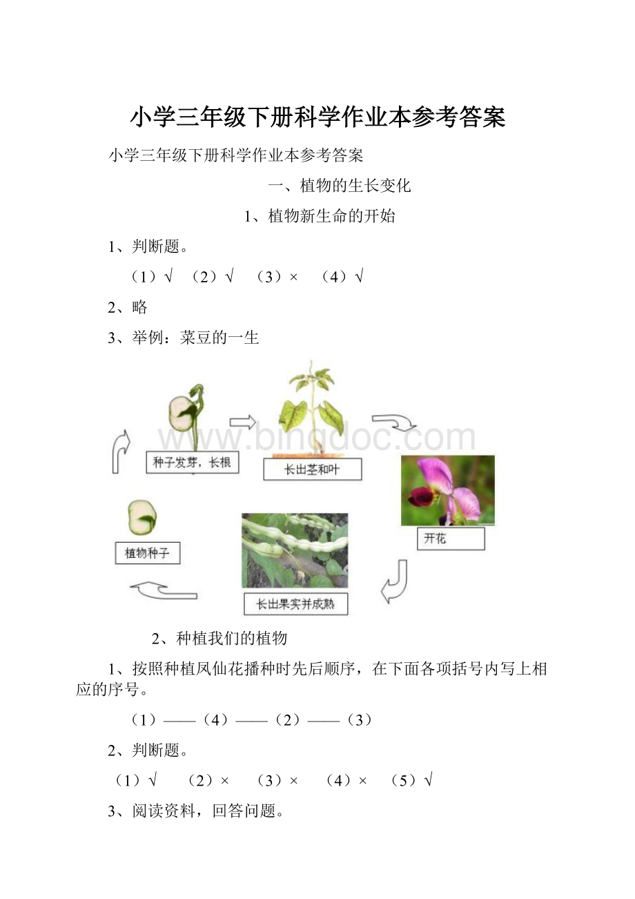 小学三年级下册科学作业本参考答案.docx_第1页