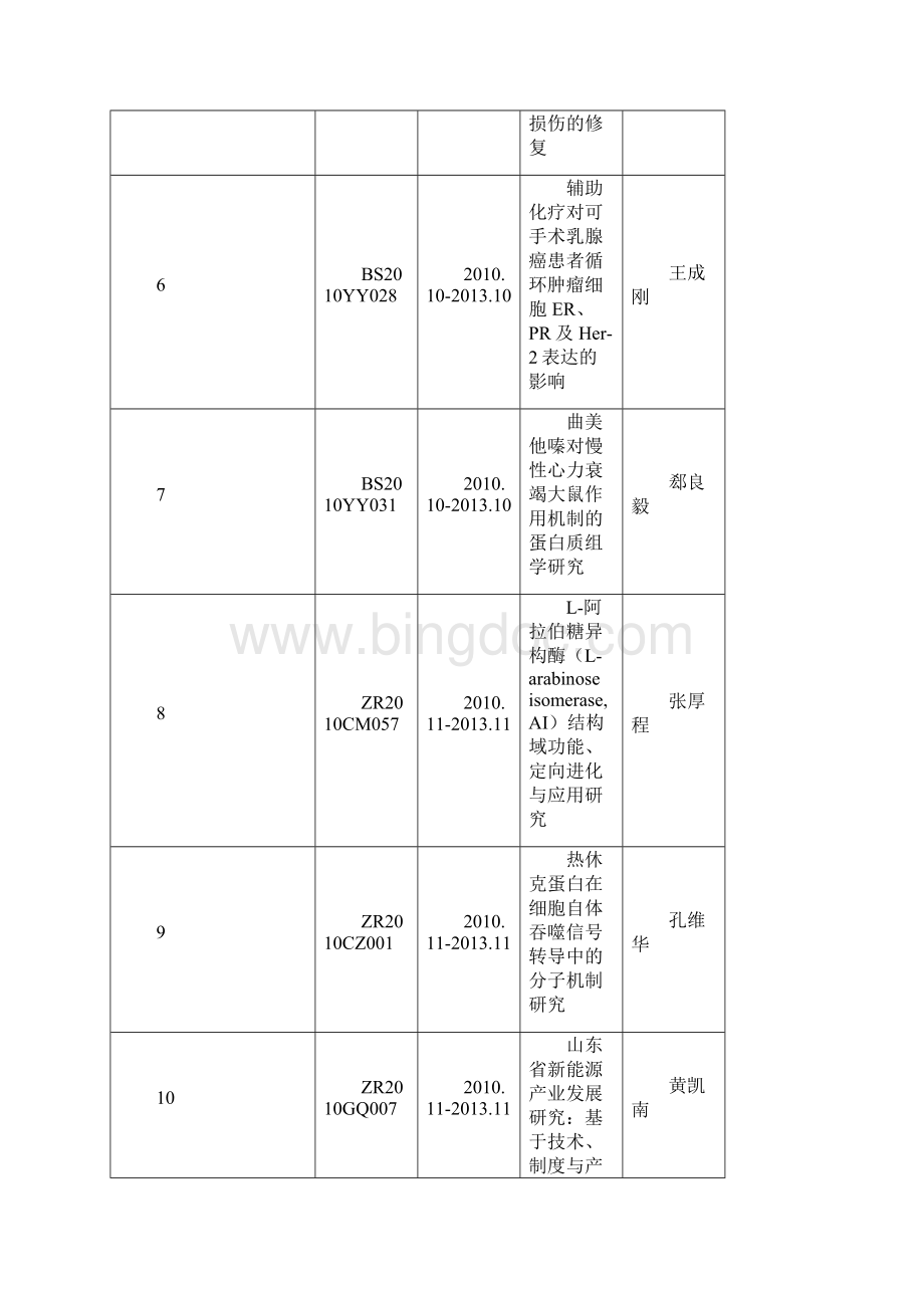 山东大学科学技术研究院.docx_第2页