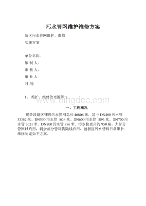 污水管网维护维修方案.docx