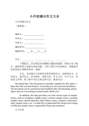 小升初满分作文大全.docx