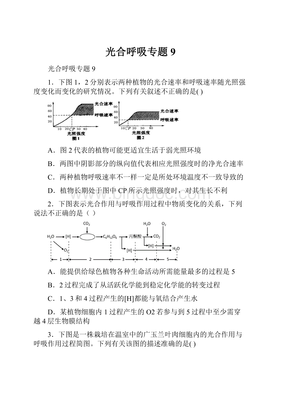 光合呼吸专题9.docx