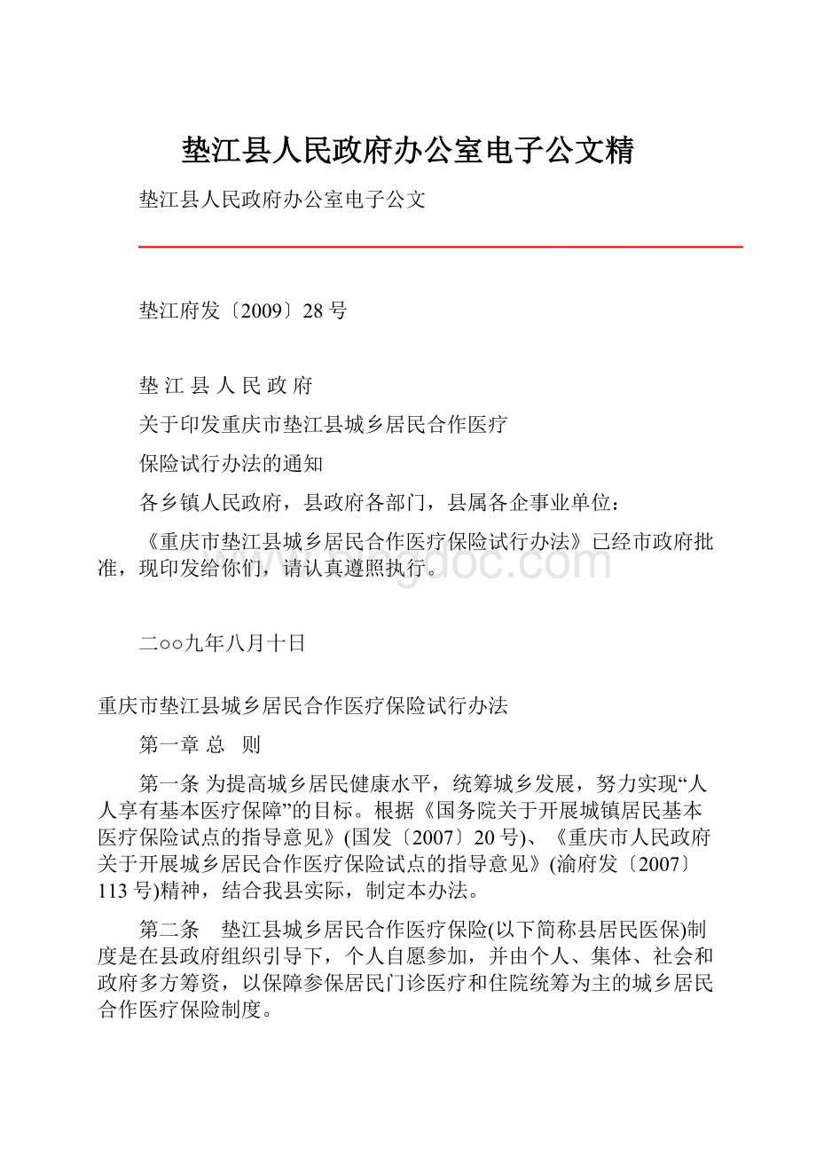 垫江县人民政府办公室电子公文精.docx_第1页