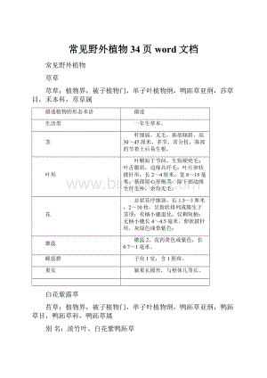 常见野外植物34页word文档.docx