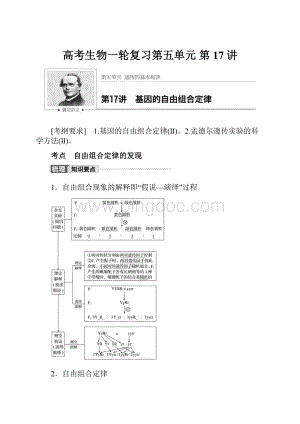 高考生物一轮复习第五单元 第17讲.docx