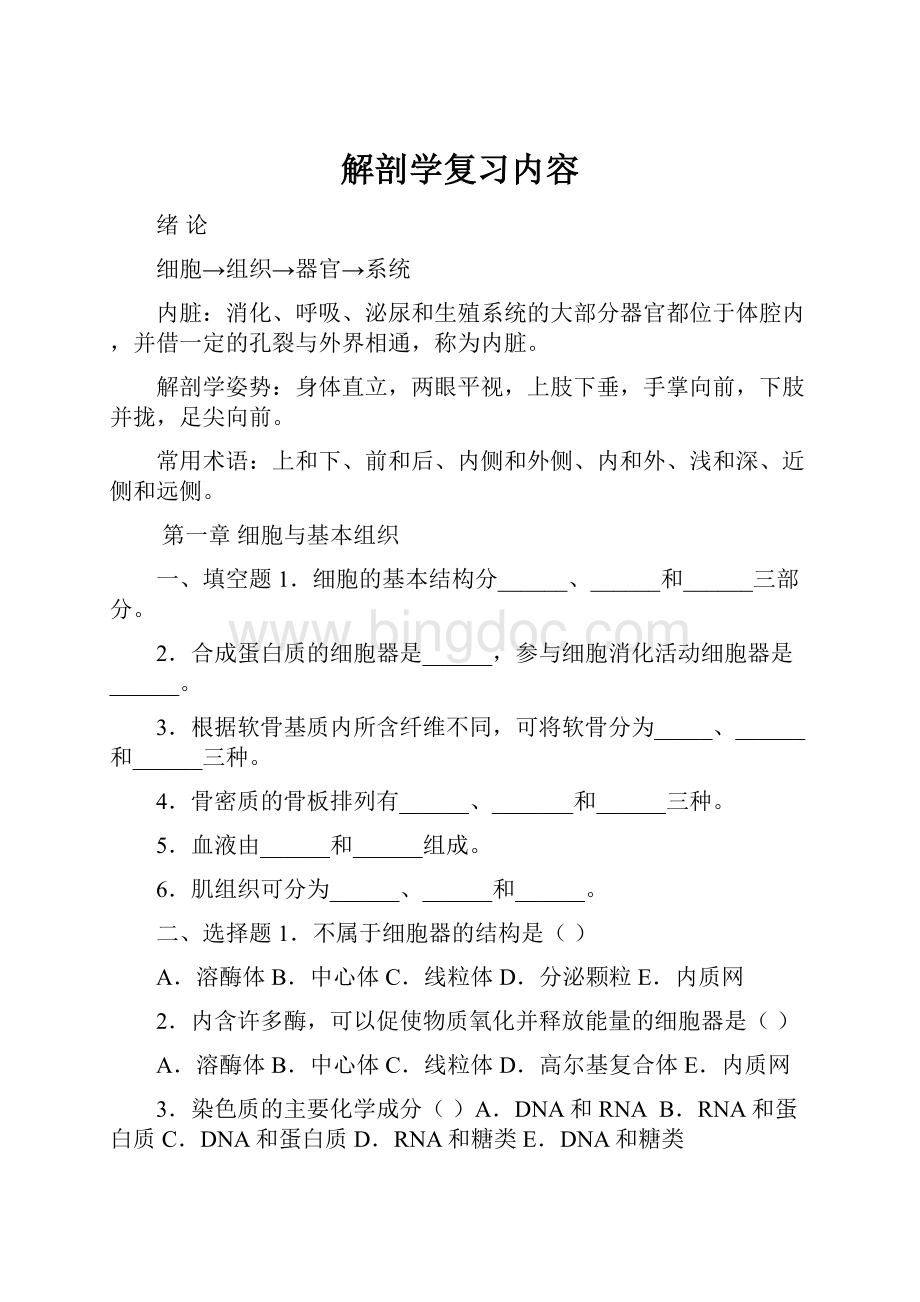 解剖学复习内容.docx_第1页