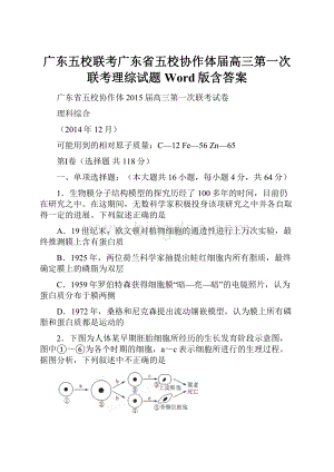 广东五校联考广东省五校协作体届高三第一次联考理综试题 Word版含答案.docx