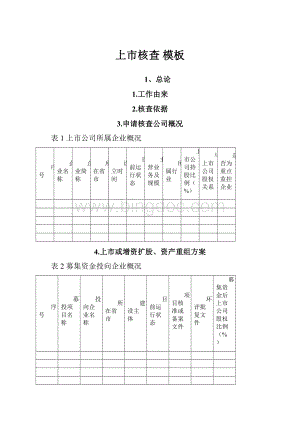 上市核查 模板.docx