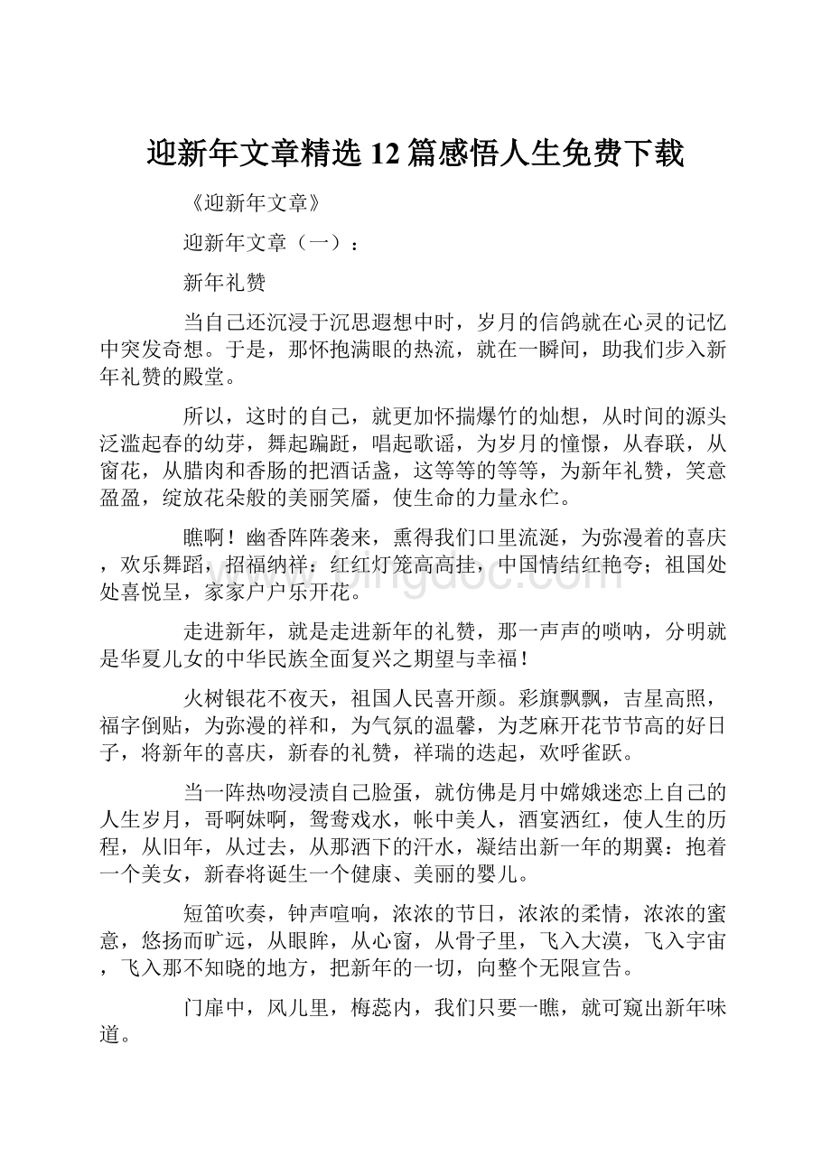 迎新年文章精选12篇感悟人生免费下载.docx