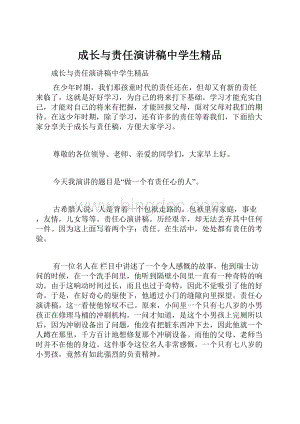 成长与责任演讲稿中学生精品.docx