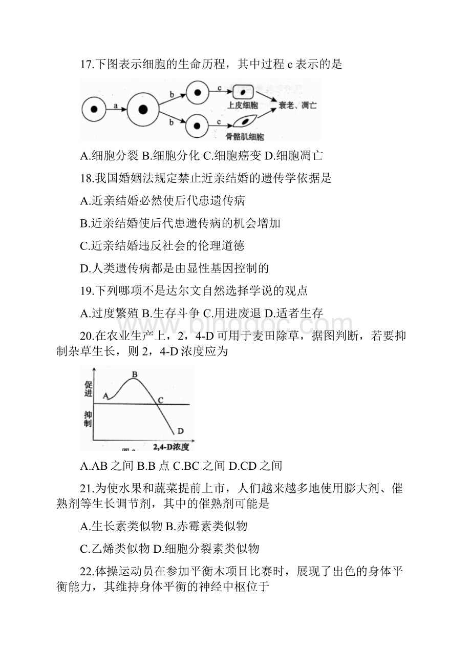 河南高中学业水平考试生物模拟试题.docx_第3页