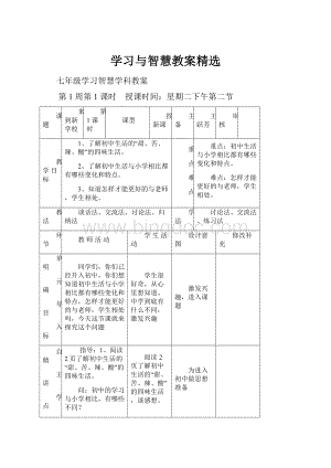 学习与智慧教案精选.docx