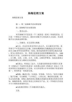 杨梅促销方案.docx