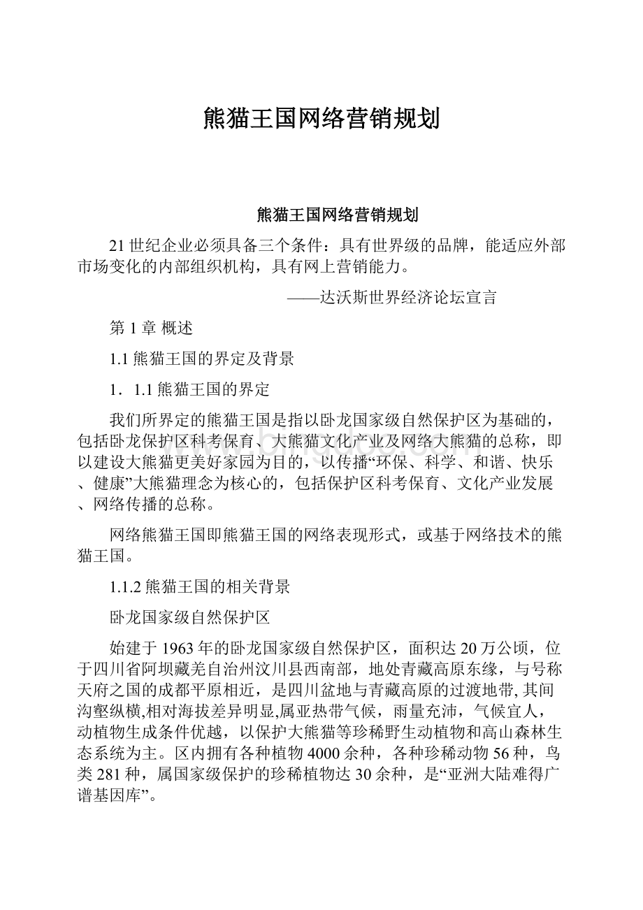 熊猫王国网络营销规划.docx