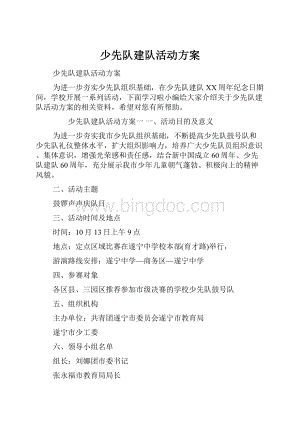 少先队建队活动方案.docx