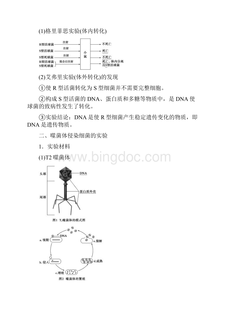 江苏省高中生物必修二第四章第一节第一课时探索遗传物质的过程.docx_第2页