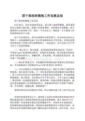 团干部挂职锻炼工作实践总结.docx