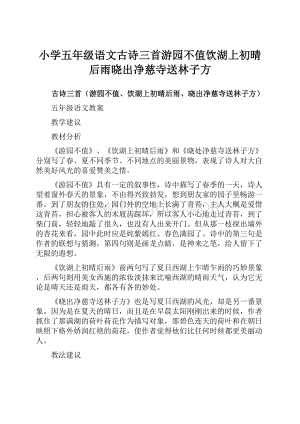 小学五年级语文古诗三首游园不值饮湖上初晴后雨晓出净慈寺送林子方.docx