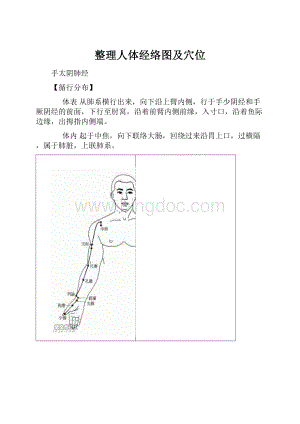 整理人体经络图及穴位.docx