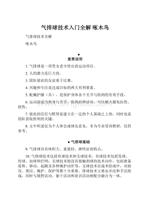 气排球技术入门全解 啄木鸟.docx