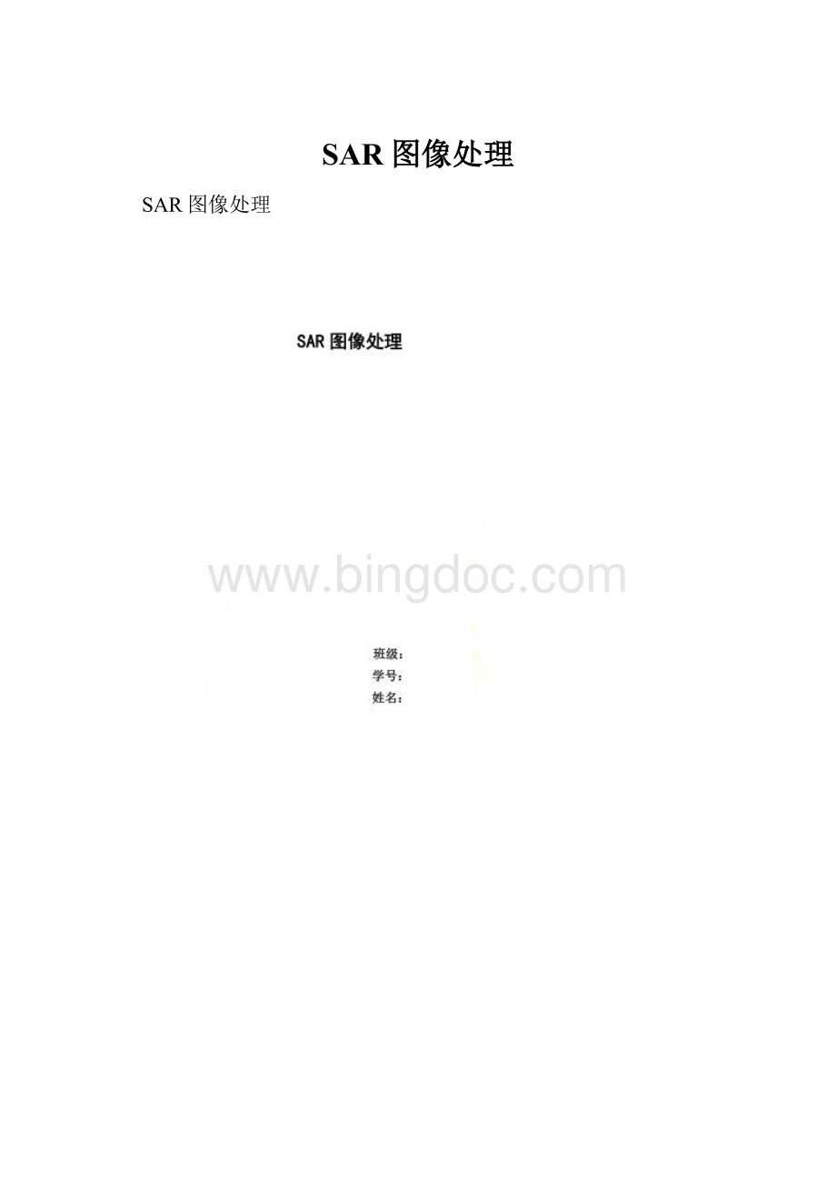 SAR图像处理.docx_第1页