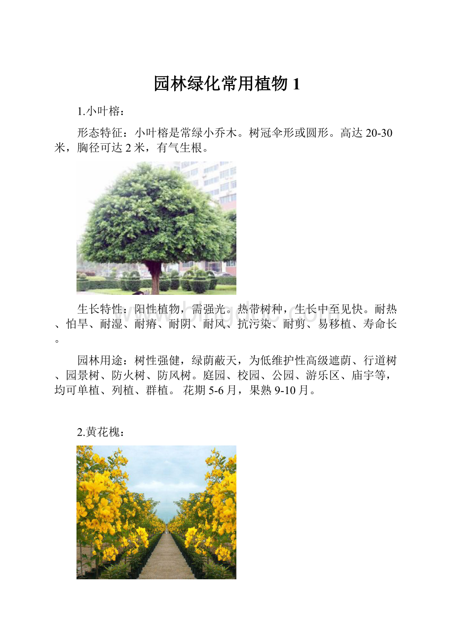 园林绿化常用植物1.docx