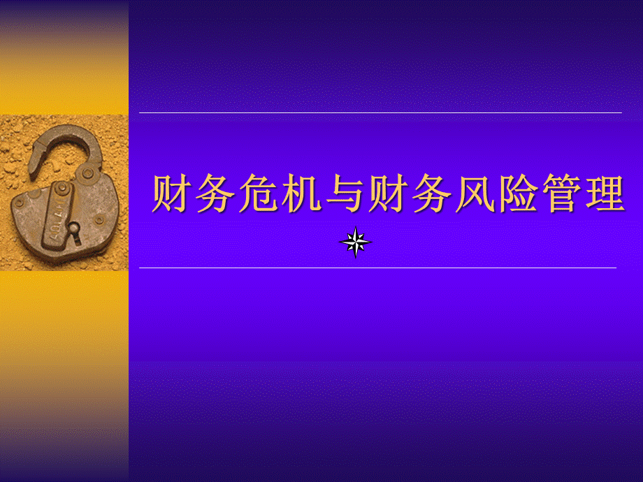 财务危机及财务风险管理实务(ppt 79) .pptx