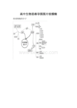高中生物思维导图图片较模糊.docx