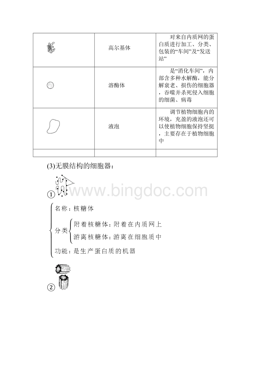 学年 人教版 必修I 细胞器之间的分工合作Ⅰ学案.docx_第2页