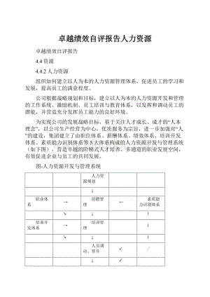 卓越绩效自评报告人力资源.docx