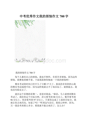 中考优秀作文我的烦恼作文700字.docx