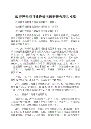 政府投资项目建设情况调研报告精品投稿.docx