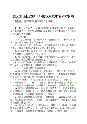 范文新提任处级干部勤政廉政承诺公示材料.docx