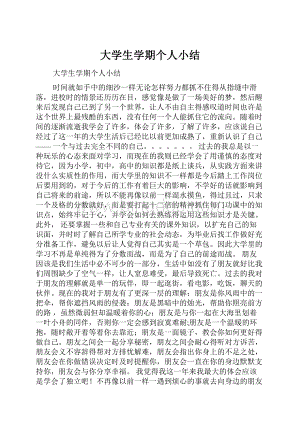 大学生学期个人小结.docx