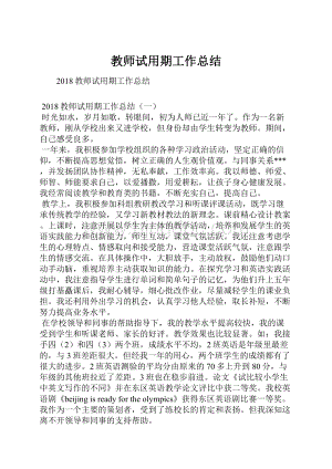 教师试用期工作总结.docx