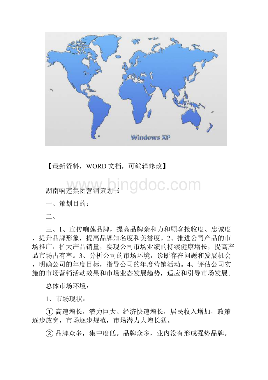 湖南集团全营销策划书.docx_第2页