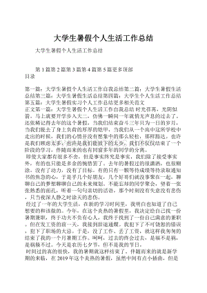 大学生暑假个人生活工作总结.docx