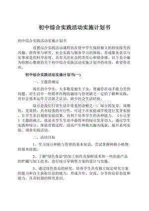 初中综合实践活动实施计划书.docx