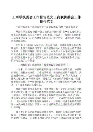 工商联执委会工作报告范文工商联执委会工作报告范文.docx