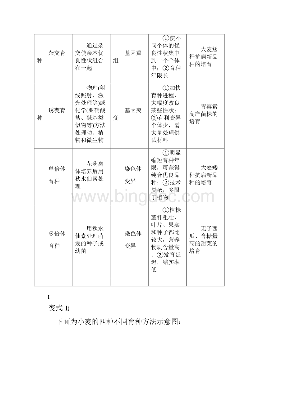 苏教版必修2同步讲义及练习第四章 10.docx_第2页