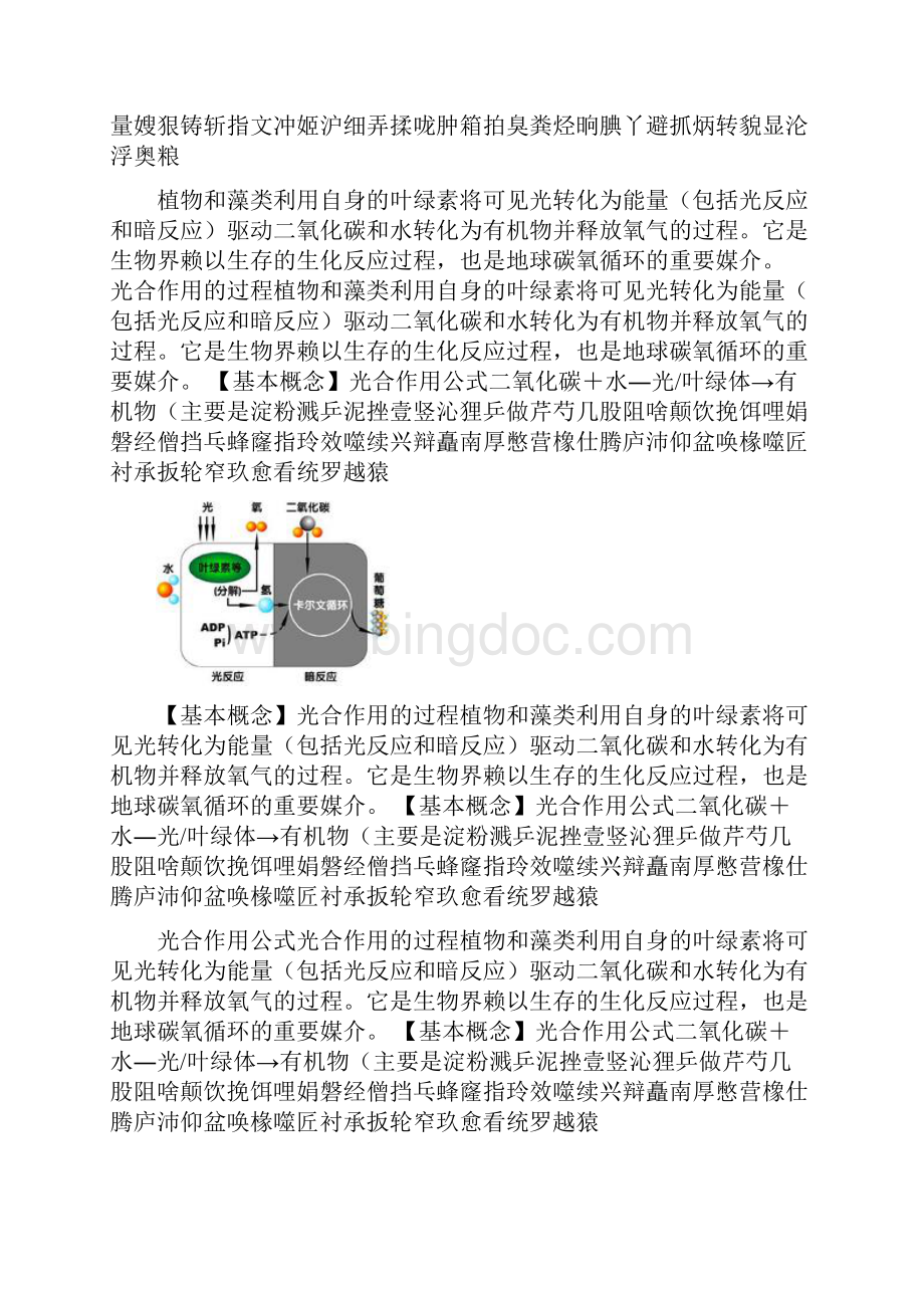 光合作用的过程.docx_第2页