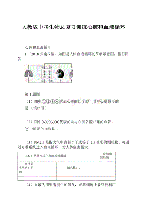 人教版中考生物总复习训练心脏和血液循环.docx