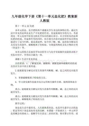 九年级化学下册《第十一单元盐化肥》教案新人教版.docx