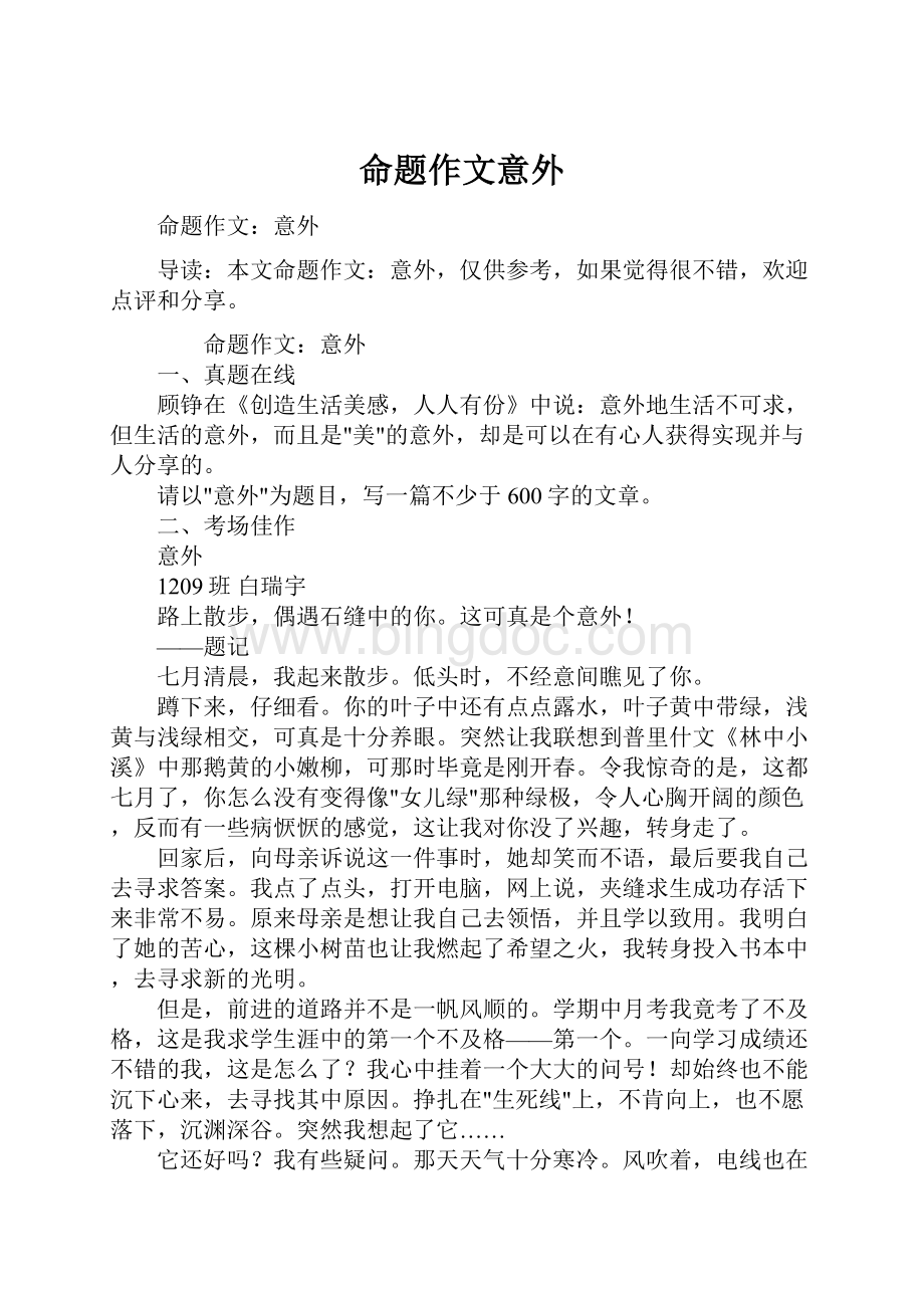 命题作文意外.docx_第1页