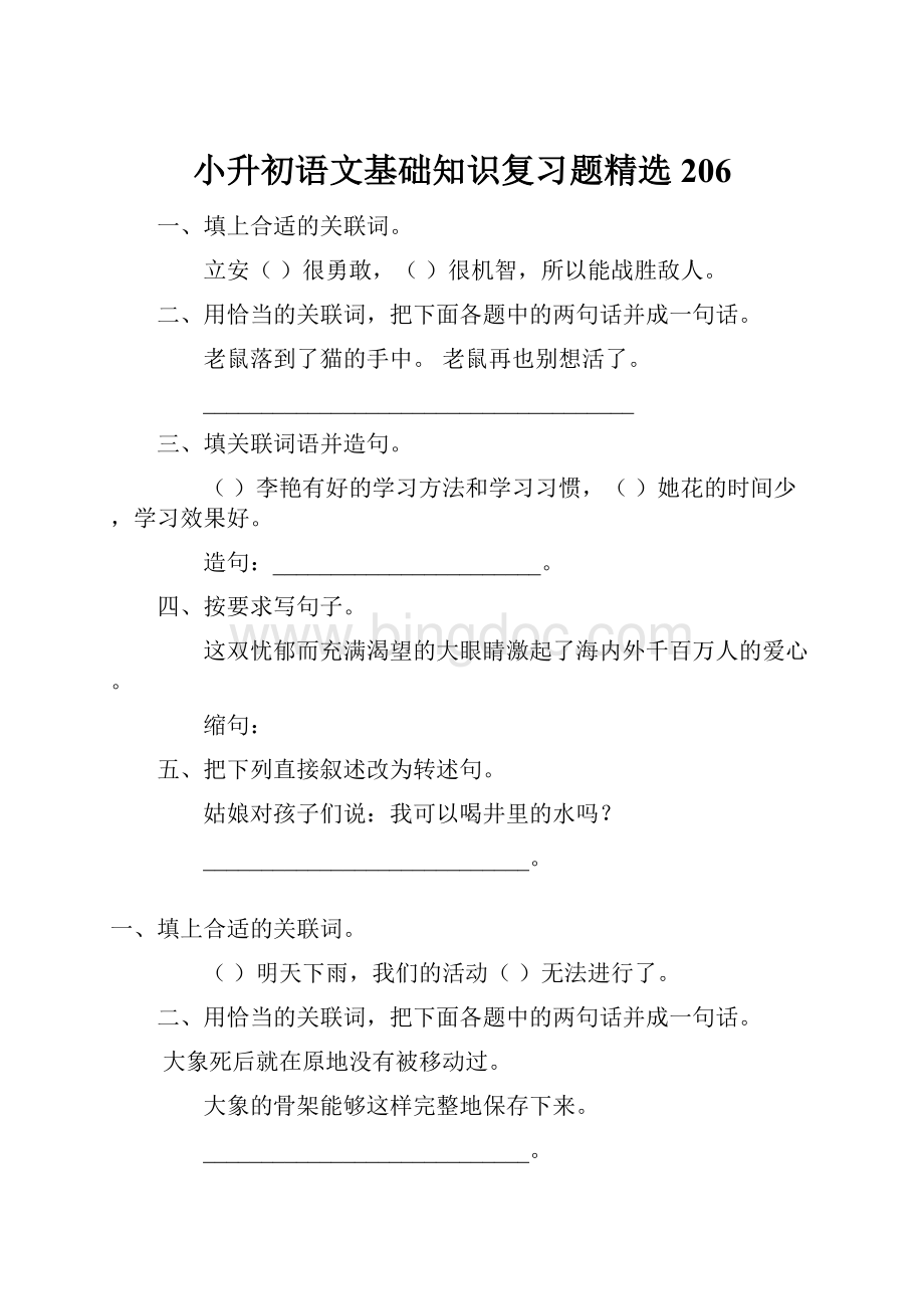 小升初语文基础知识复习题精选206.docx