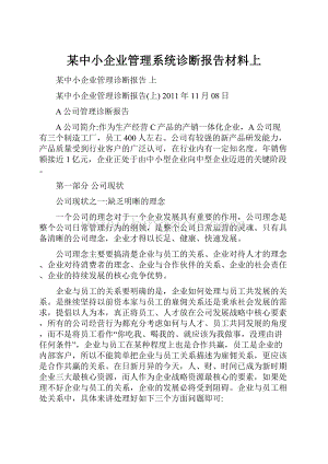 某中小企业管理系统诊断报告材料上.docx