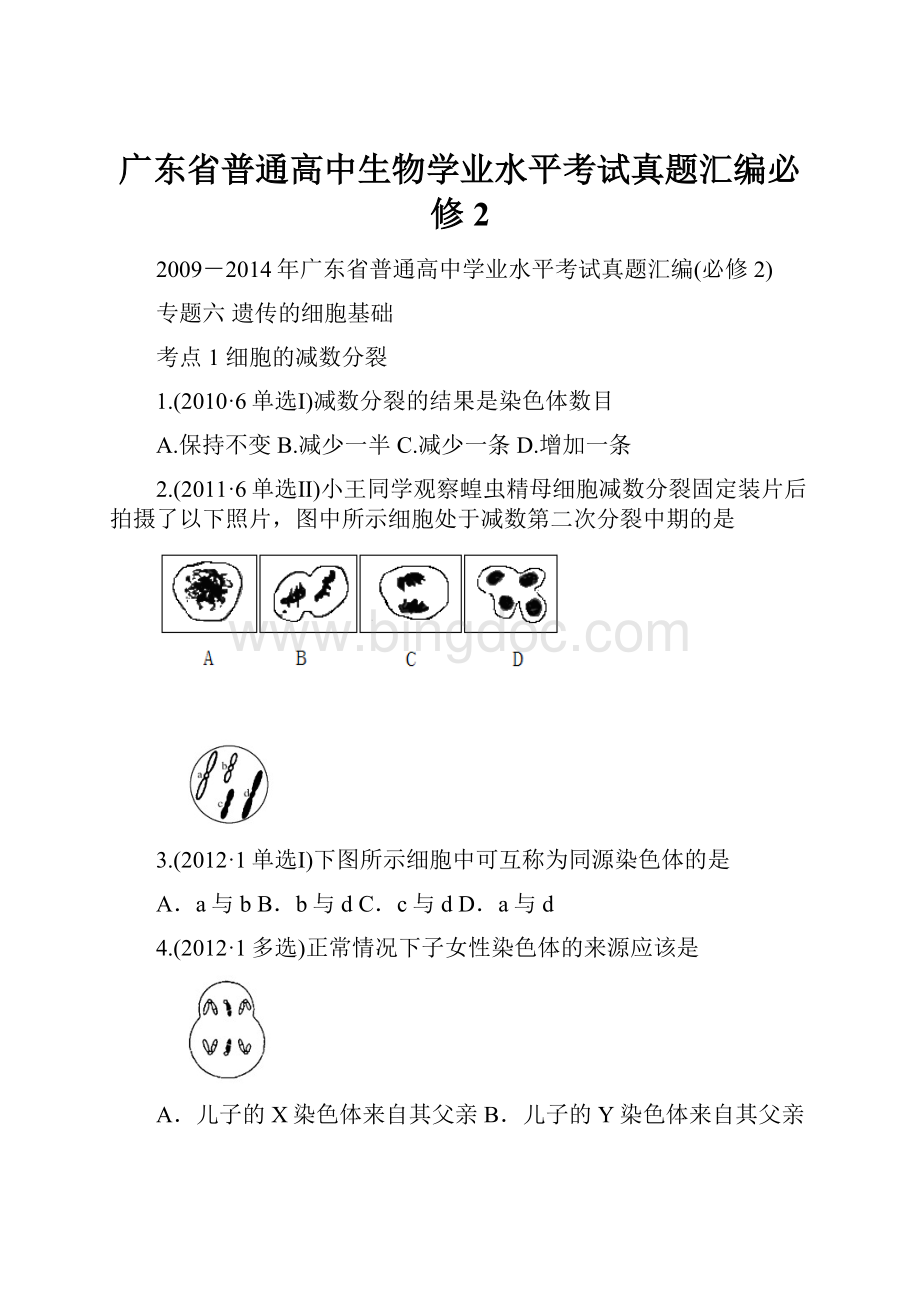 广东省普通高中生物学业水平考试真题汇编必修2.docx_第1页