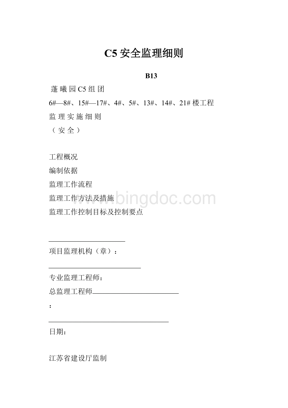 C5安全监理细则.docx