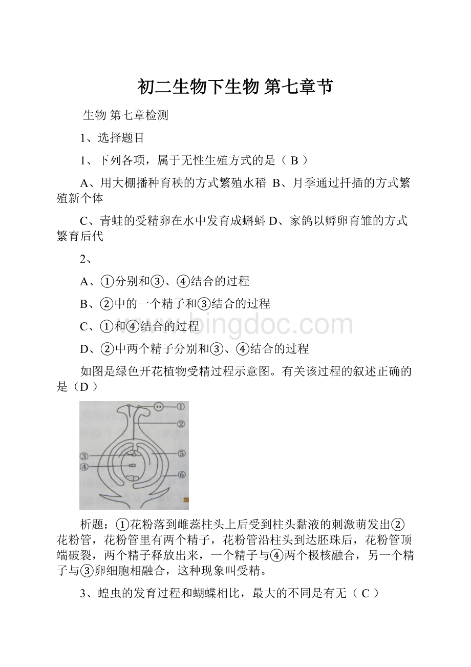 初二生物下生物第七章节.docx_第1页